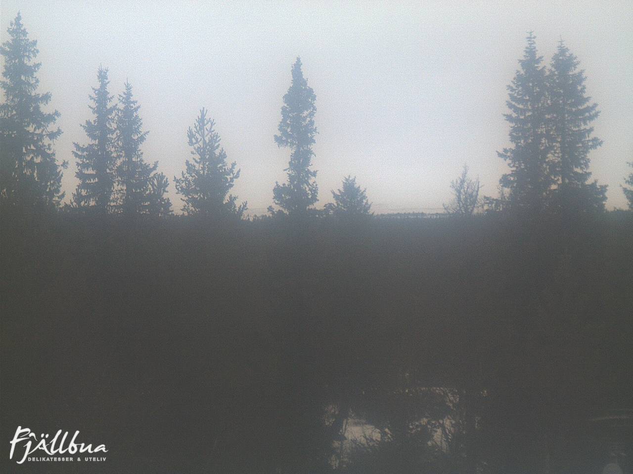 Fjällbua webcam 2024-12-01 10:00
