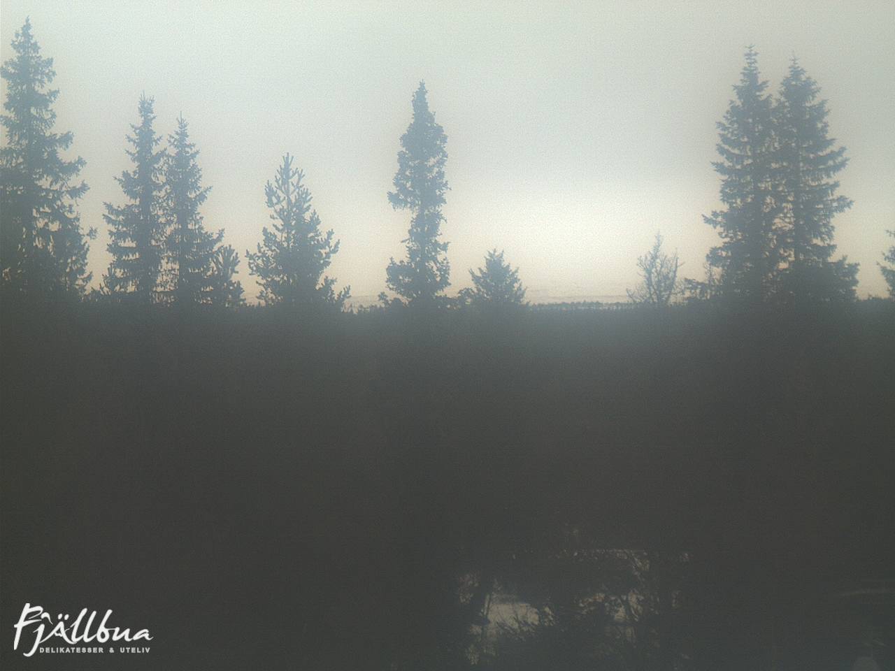 Fjällbua webcam 2024-12-01 10:30