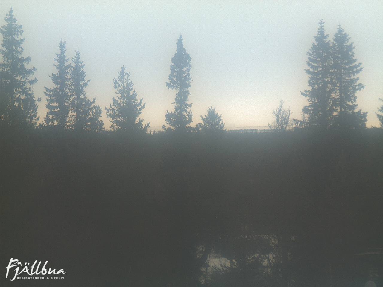 Fjällbua webcam 2024-12-01 11:30