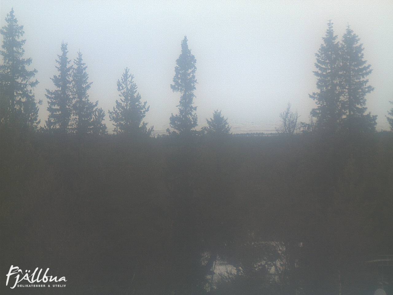 Fjällbua webcam 2024-12-01 14:00