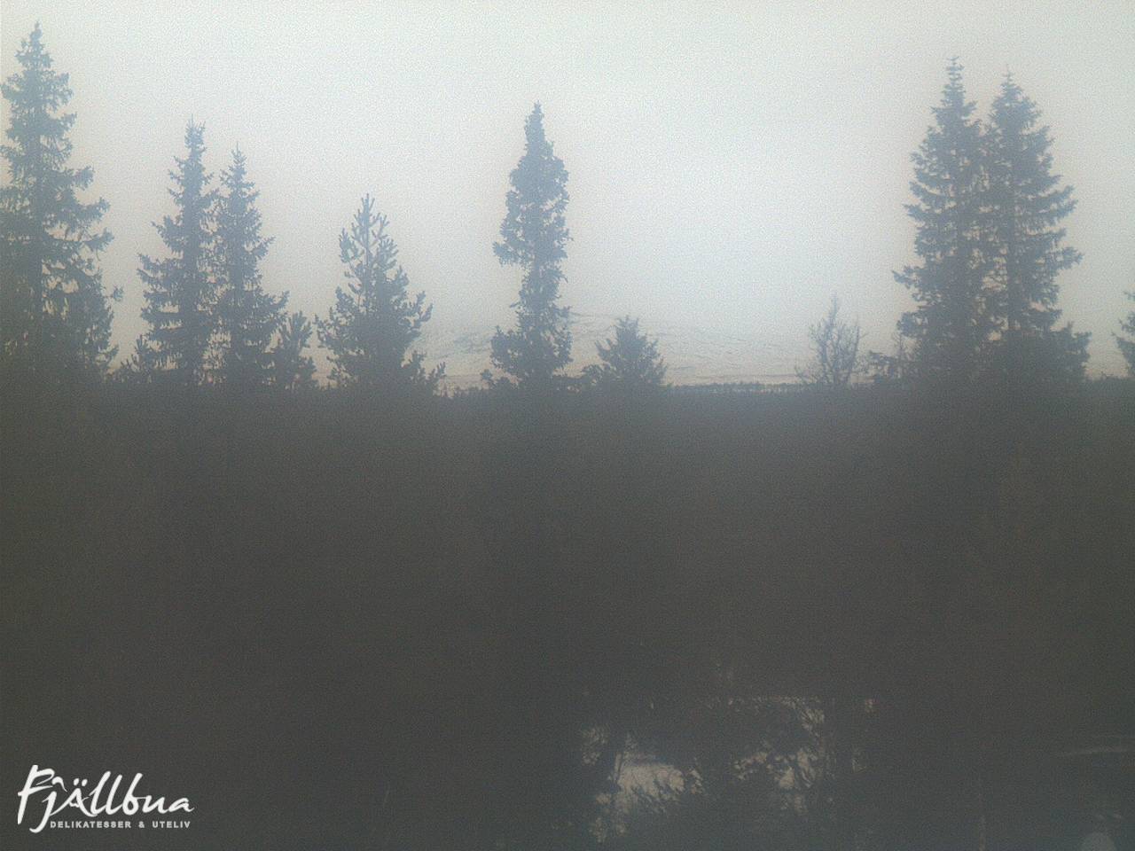 Fjällbua webcam 2024-12-01 14:30