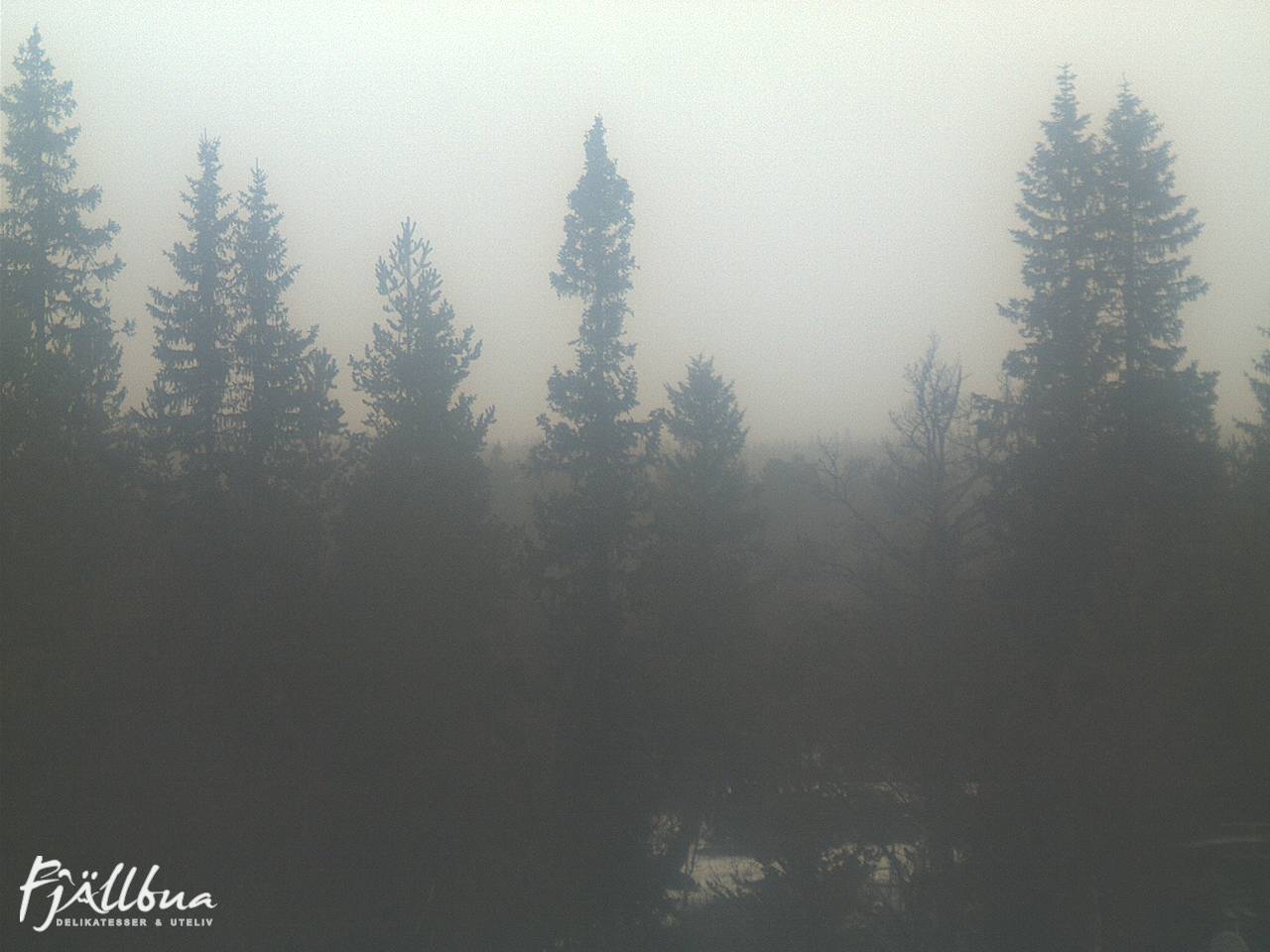 Fjällbua webcam 2024-12-02 11:00