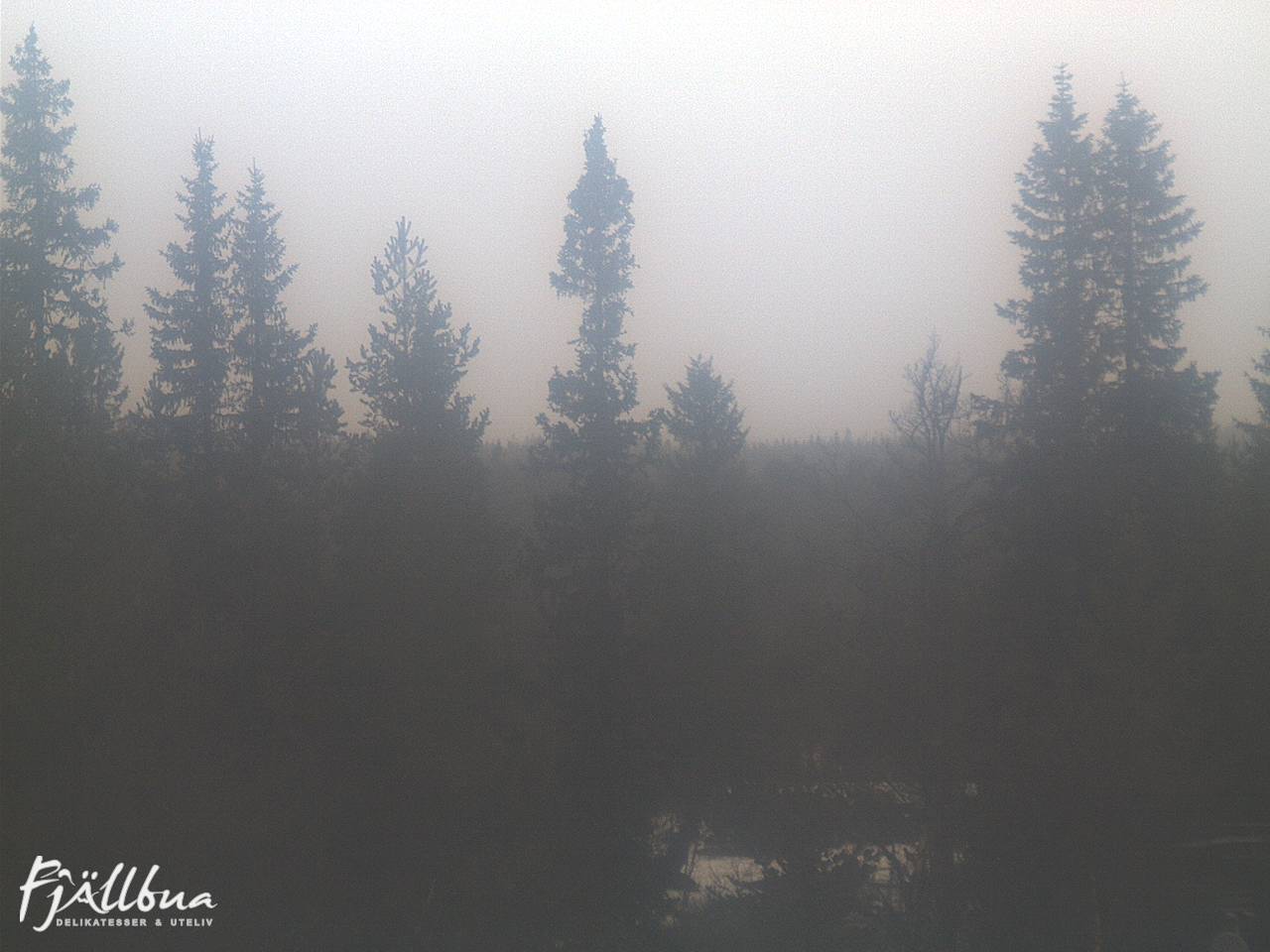 Fjällbua webcam 2024-12-02 11:30