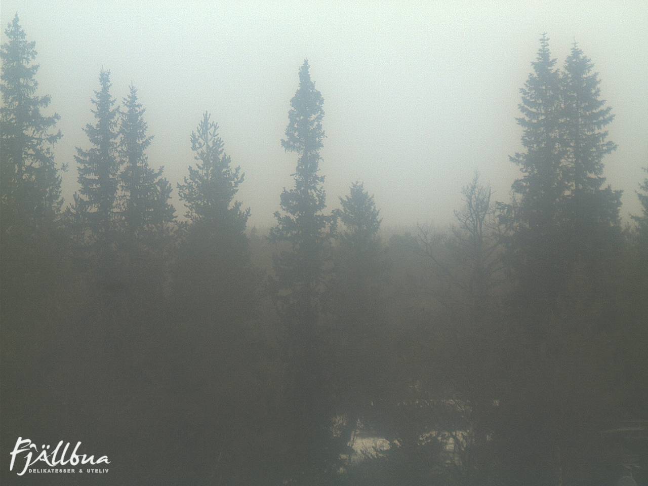 Fjällbua webcam 2024-12-02 12:30