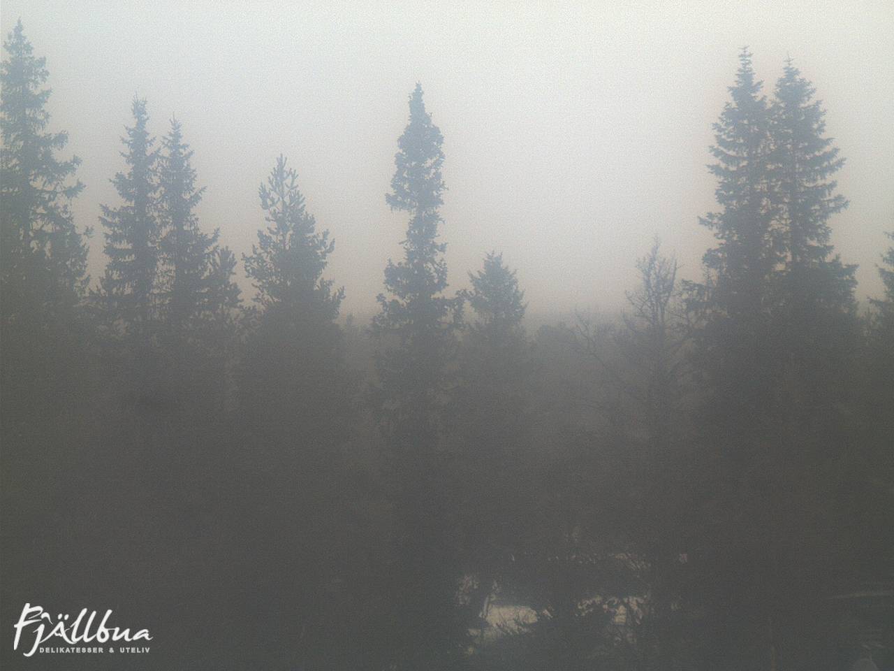 Fjällbua webcam 2024-12-02 13:00