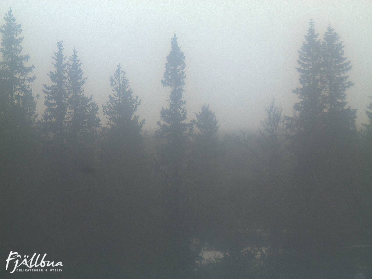 Fjällbua webcam 2024-12-02 14:00