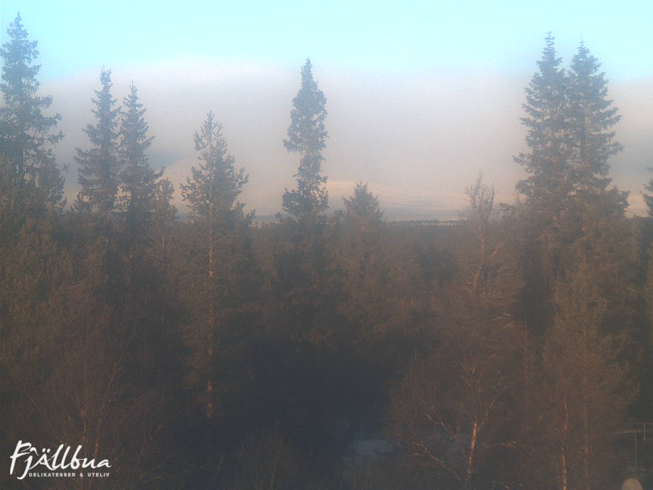 Fjällbua webcam 2024-12-03 10:30