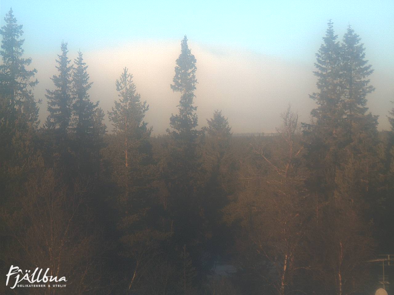 Fjällbua webcam 2024-12-03 11:00