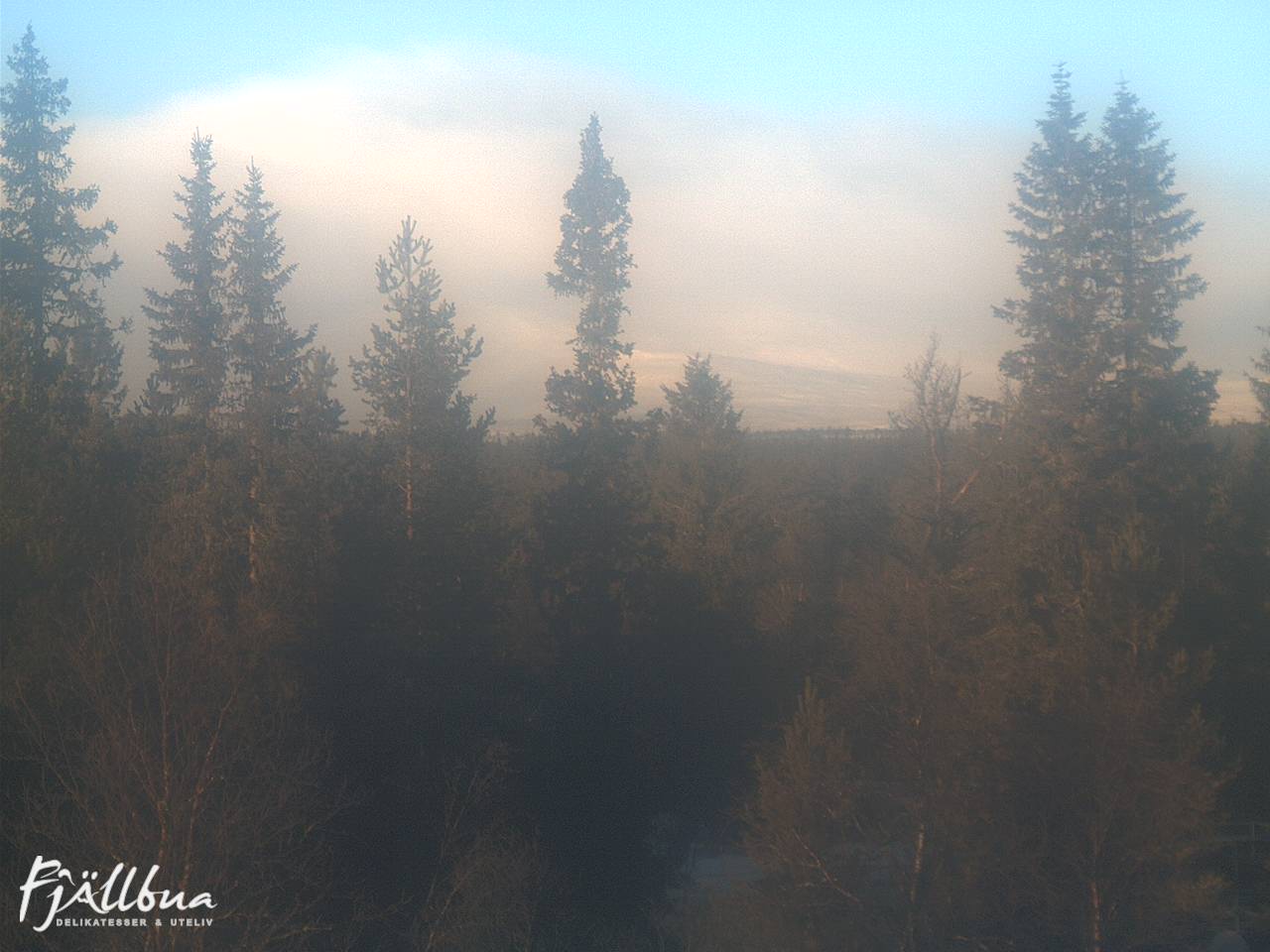 Fjällbua webcam 2024-12-03 11:30