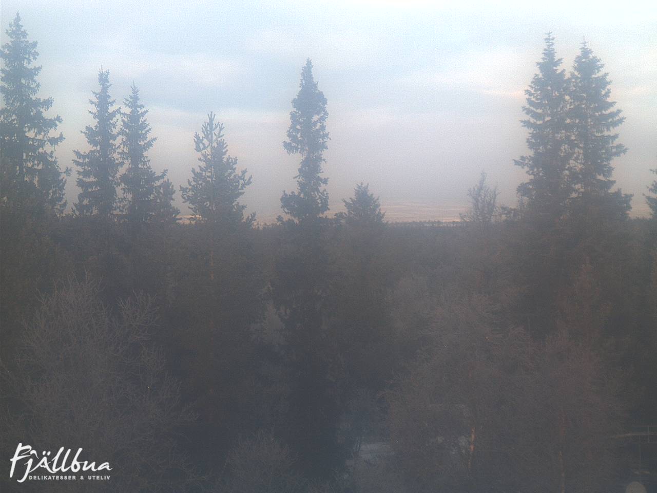 Fjällbua webcam 2024-12-04 10:30