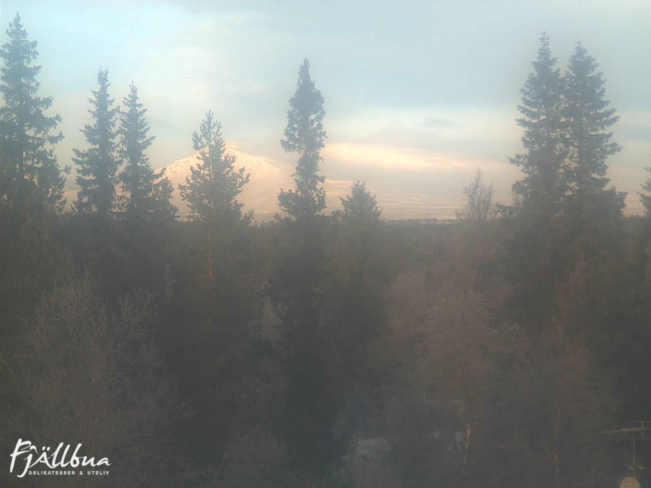 Fjällbua webcam 2024-12-04 11:00
