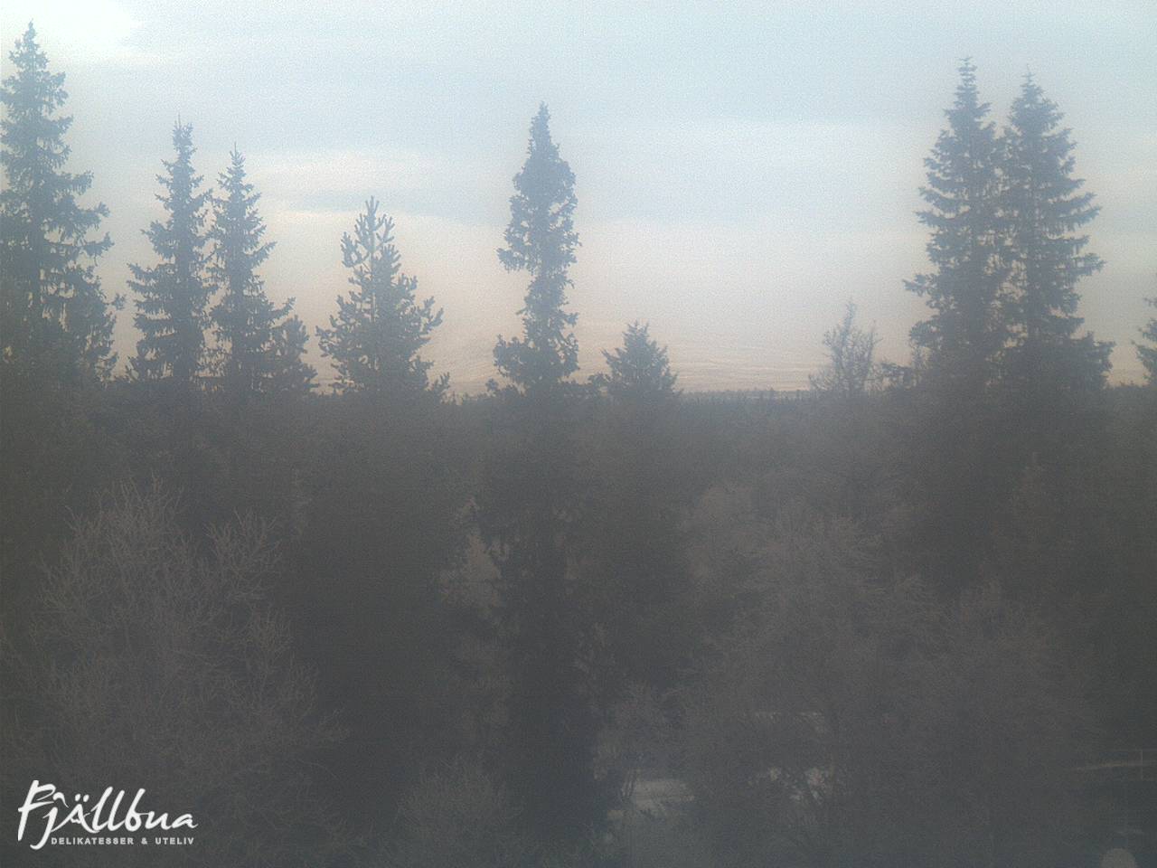 Fjällbua webcam 2024-12-04 12:30