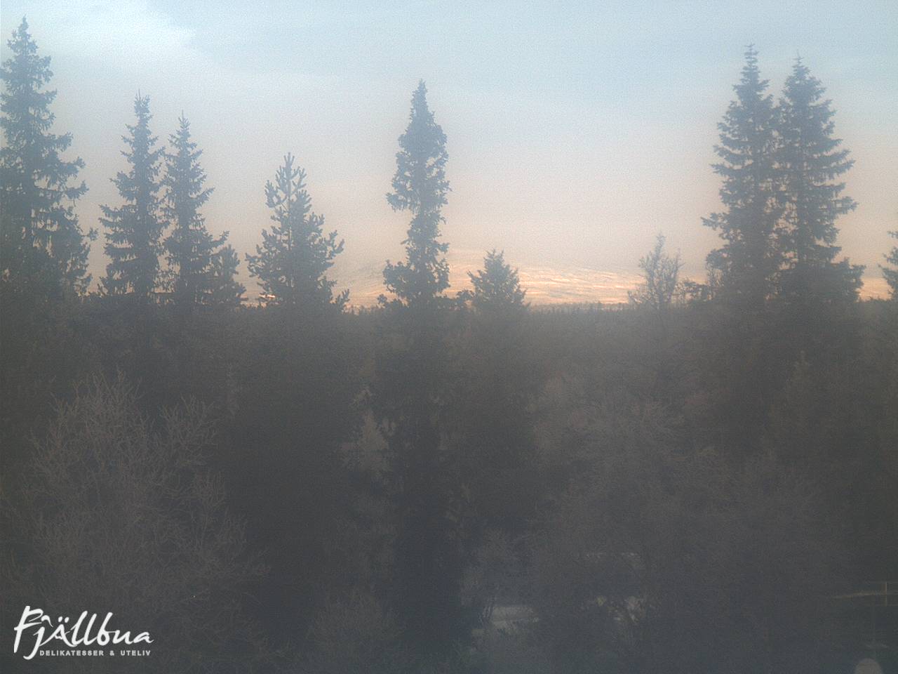 Fjällbua webcam 2024-12-04 13:00