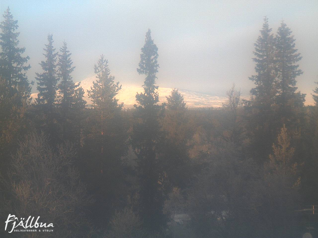 Fjällbua webcam 2024-12-04 13:30