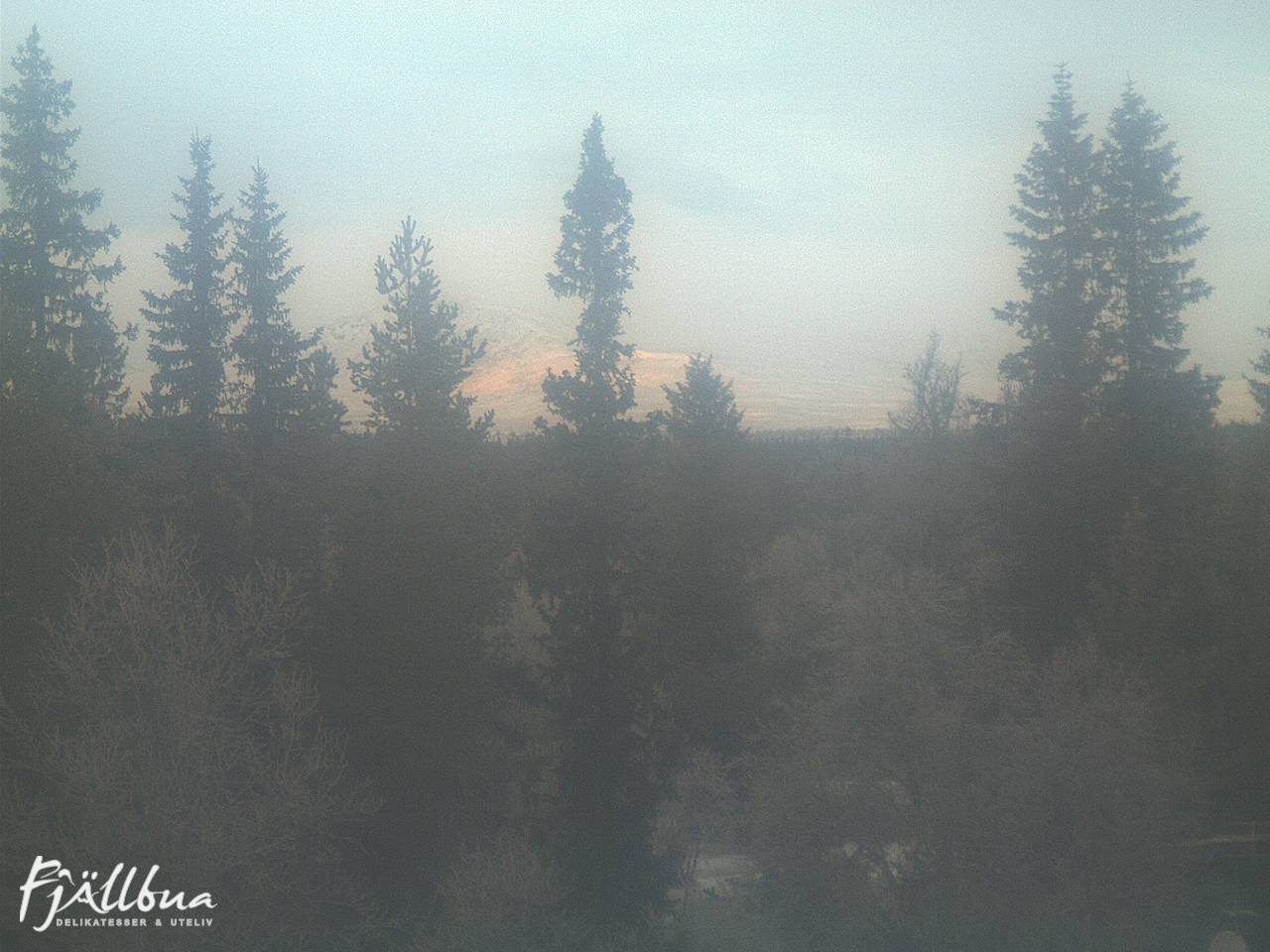 Fjällbua webcam 2024-12-04 14:30