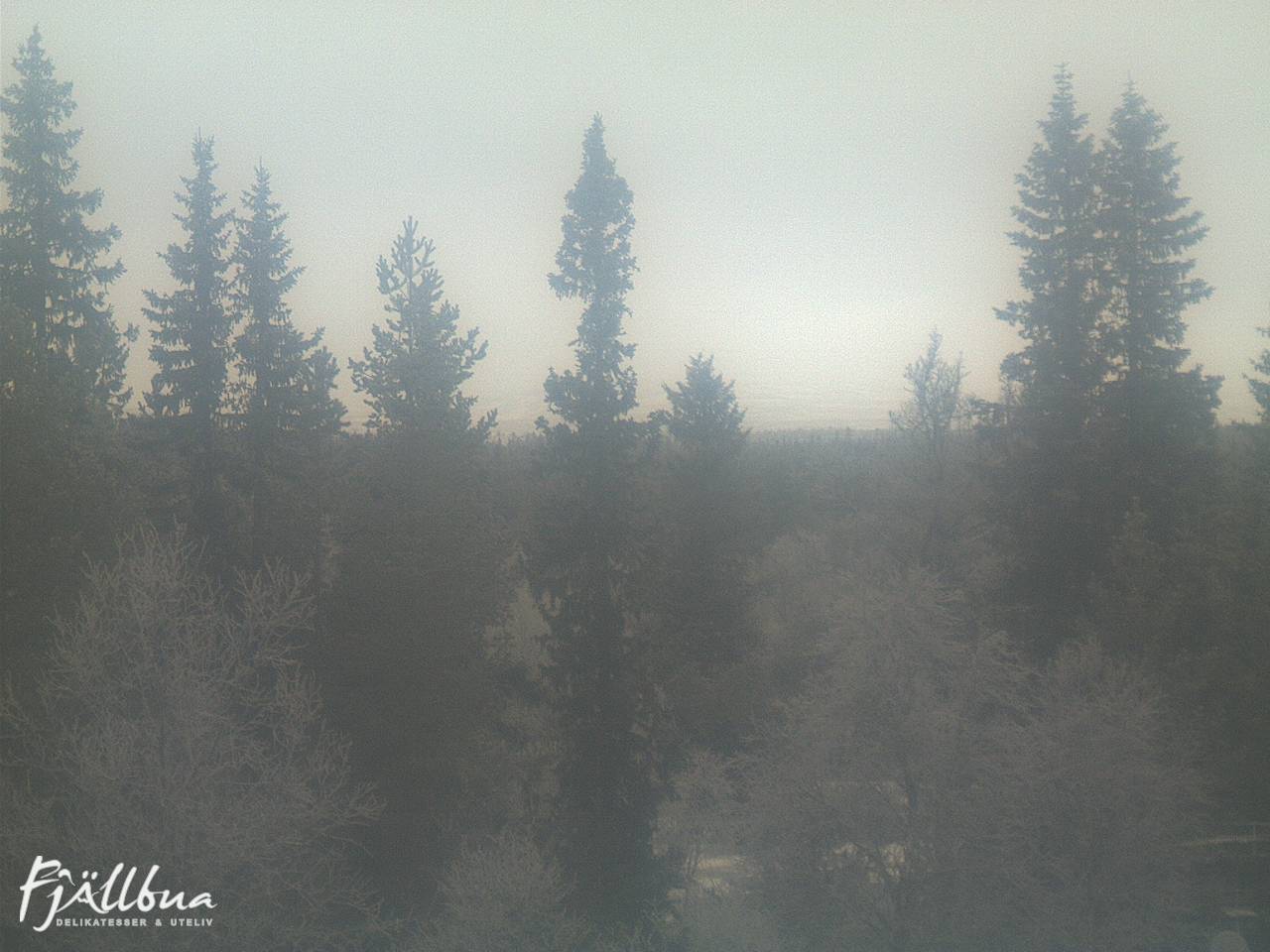Fjällbua webcam 2024-12-05 10:00