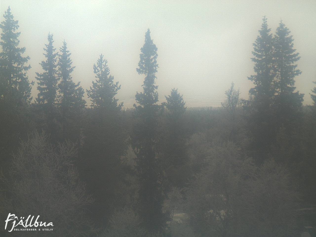 Fjällbua webcam 2024-12-05 10:30