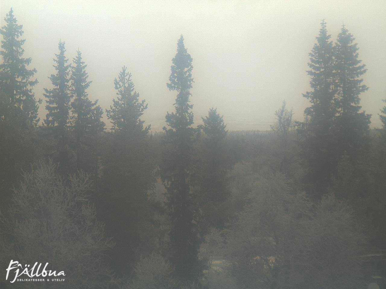 Fjällbua webcam 2024-12-05 11:00