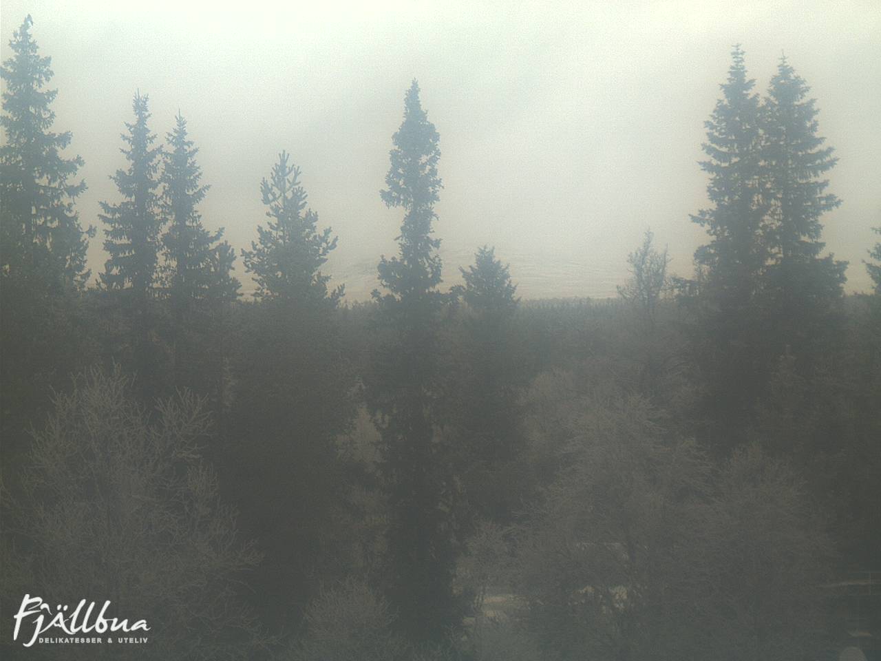 Fjällbua webcam 2024-12-05 11:30