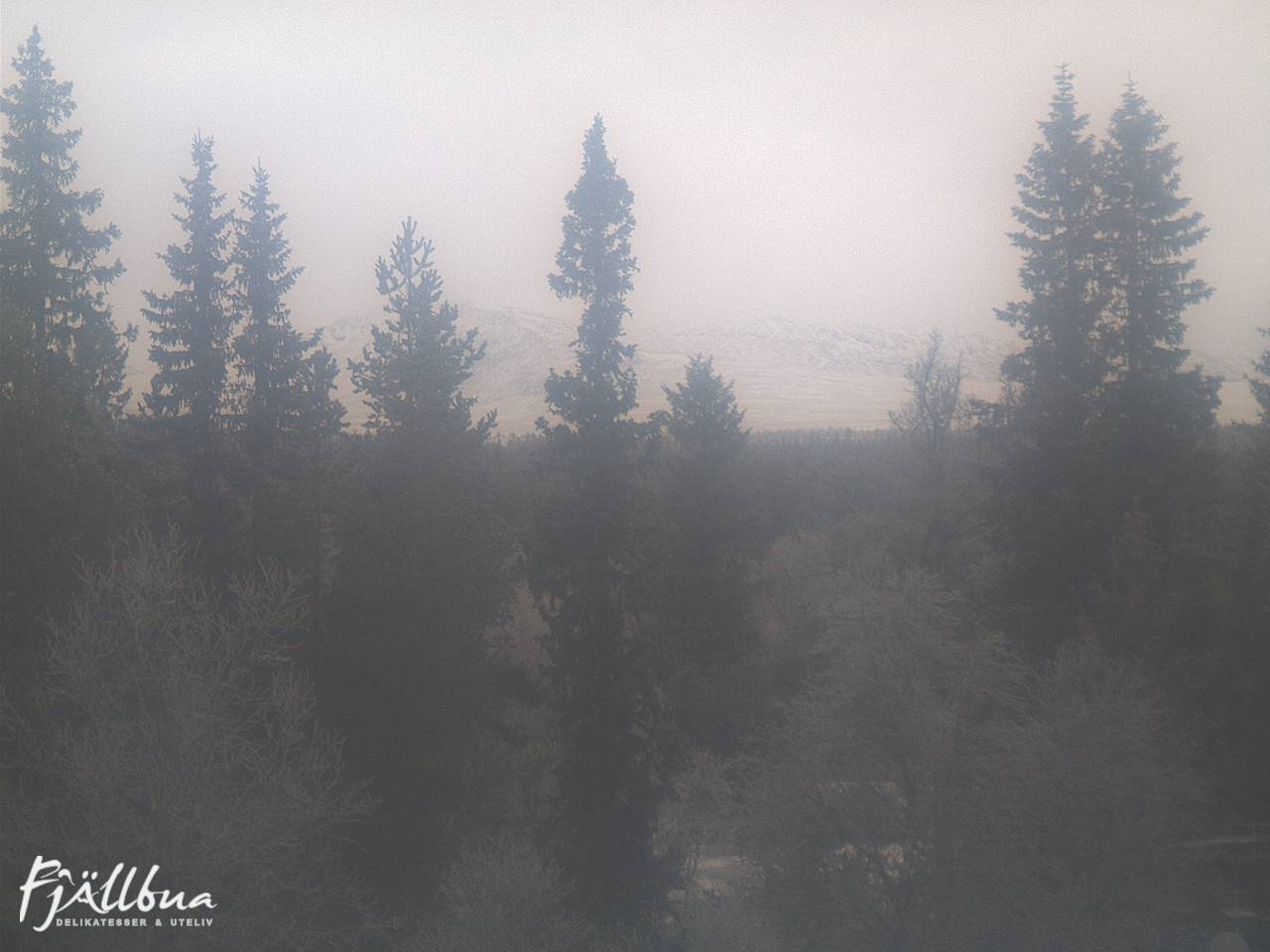 Fjällbua webcam 2024-12-05 12:00