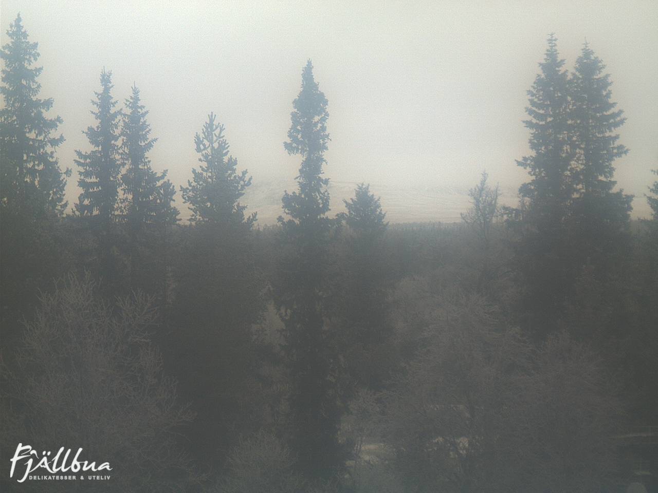 Fjällbua webcam 2024-12-05 12:30
