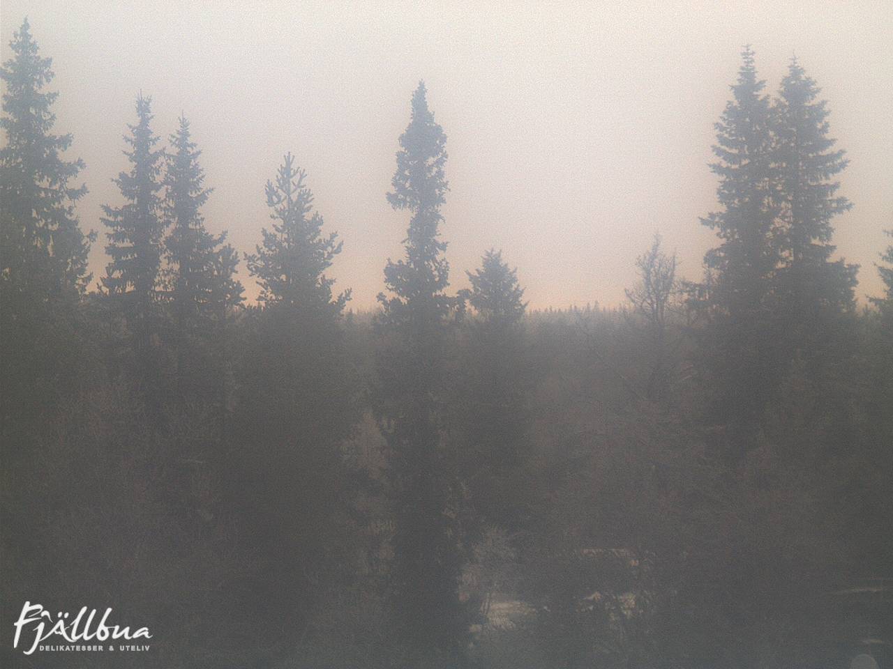 Fjällbua webcam 2024-12-06 10:30