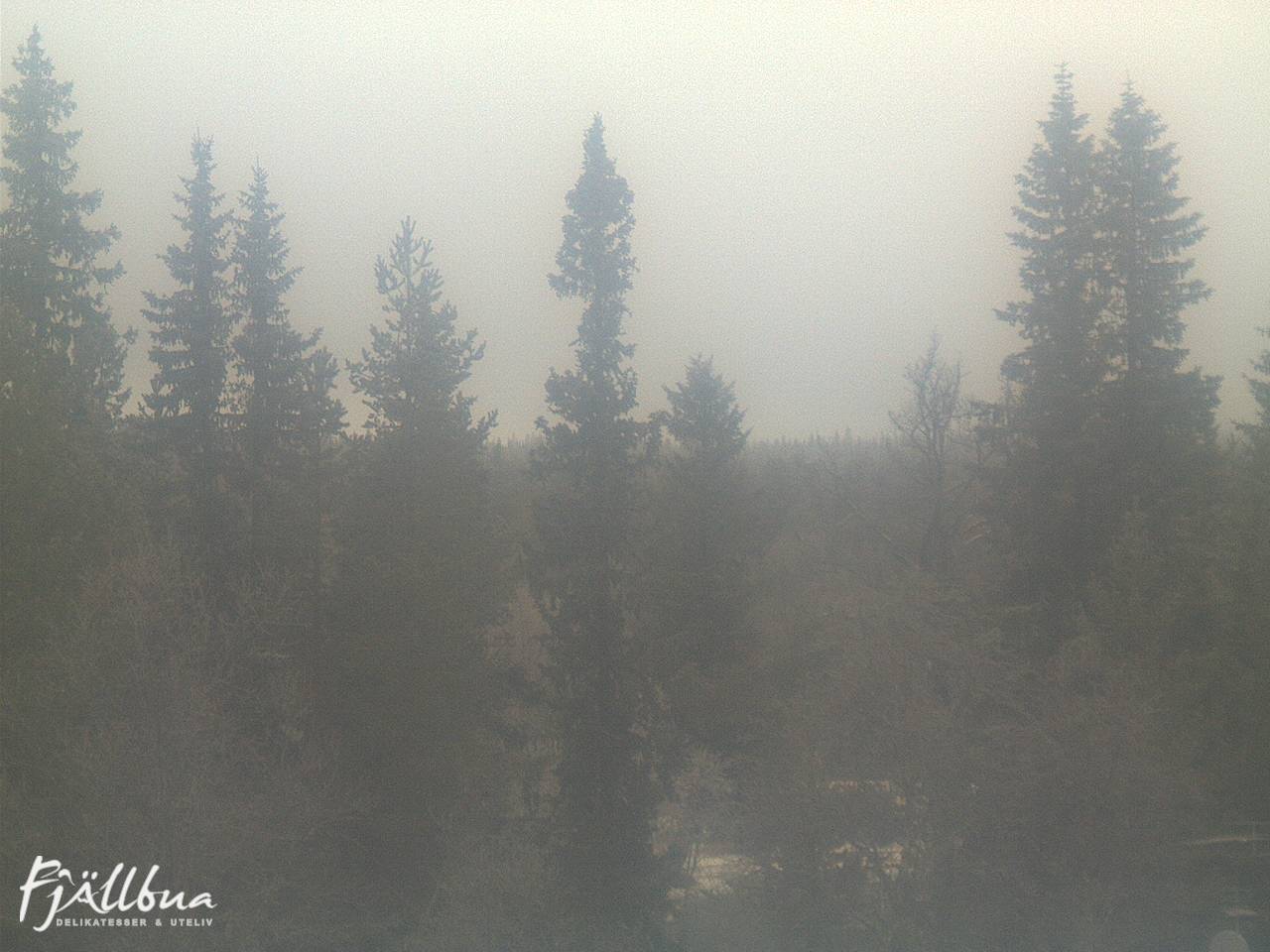 Fjällbua webcam 2024-12-06 11:00