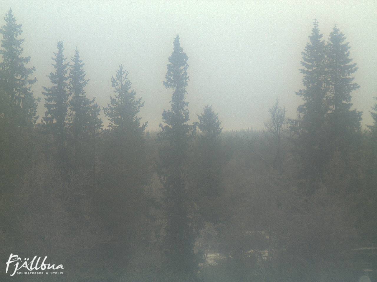 Fjällbua webcam 2024-12-06 11:30
