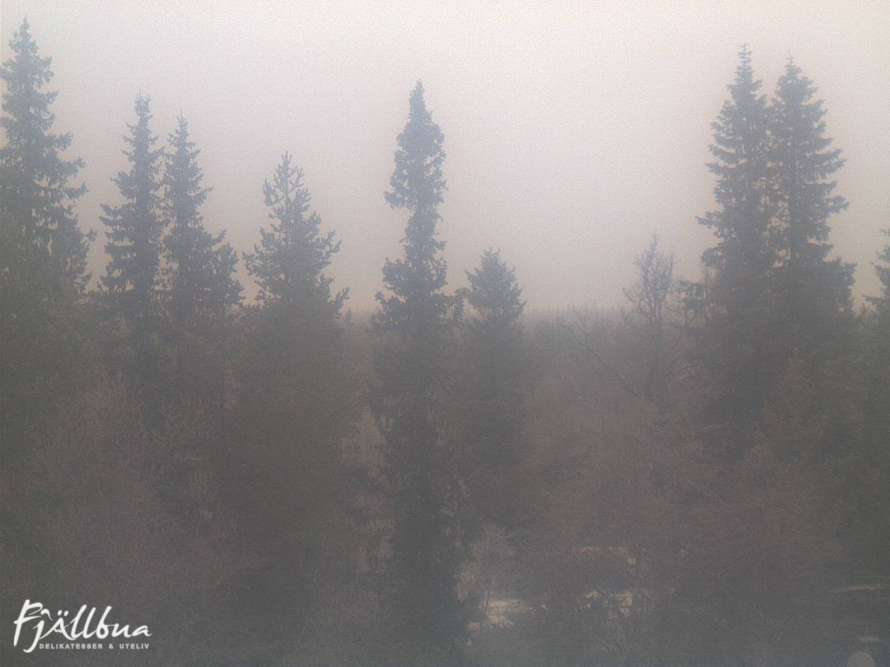 Fjällbua webcam 2024-12-06 12:00