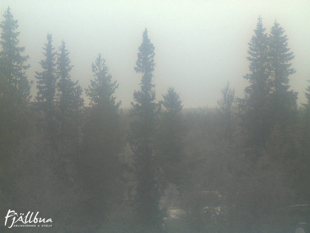Fjällbua webcam 2024-12-06 12:30