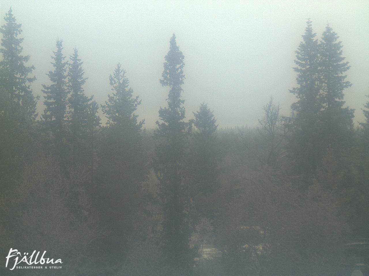 Fjällbua webcam 2024-12-06 13:00