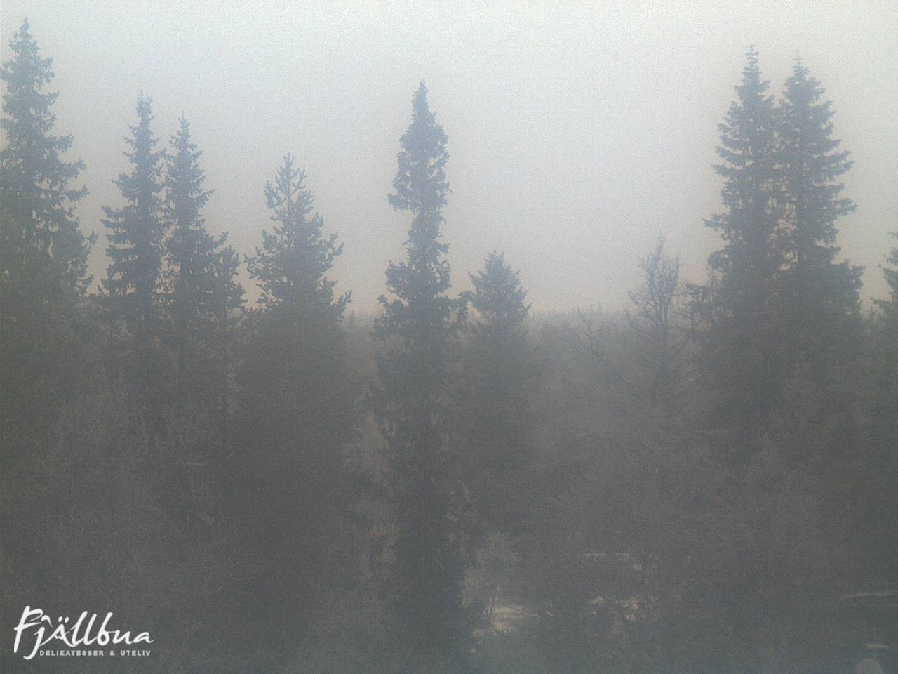 Fjällbua webcam 2024-12-06 13:30