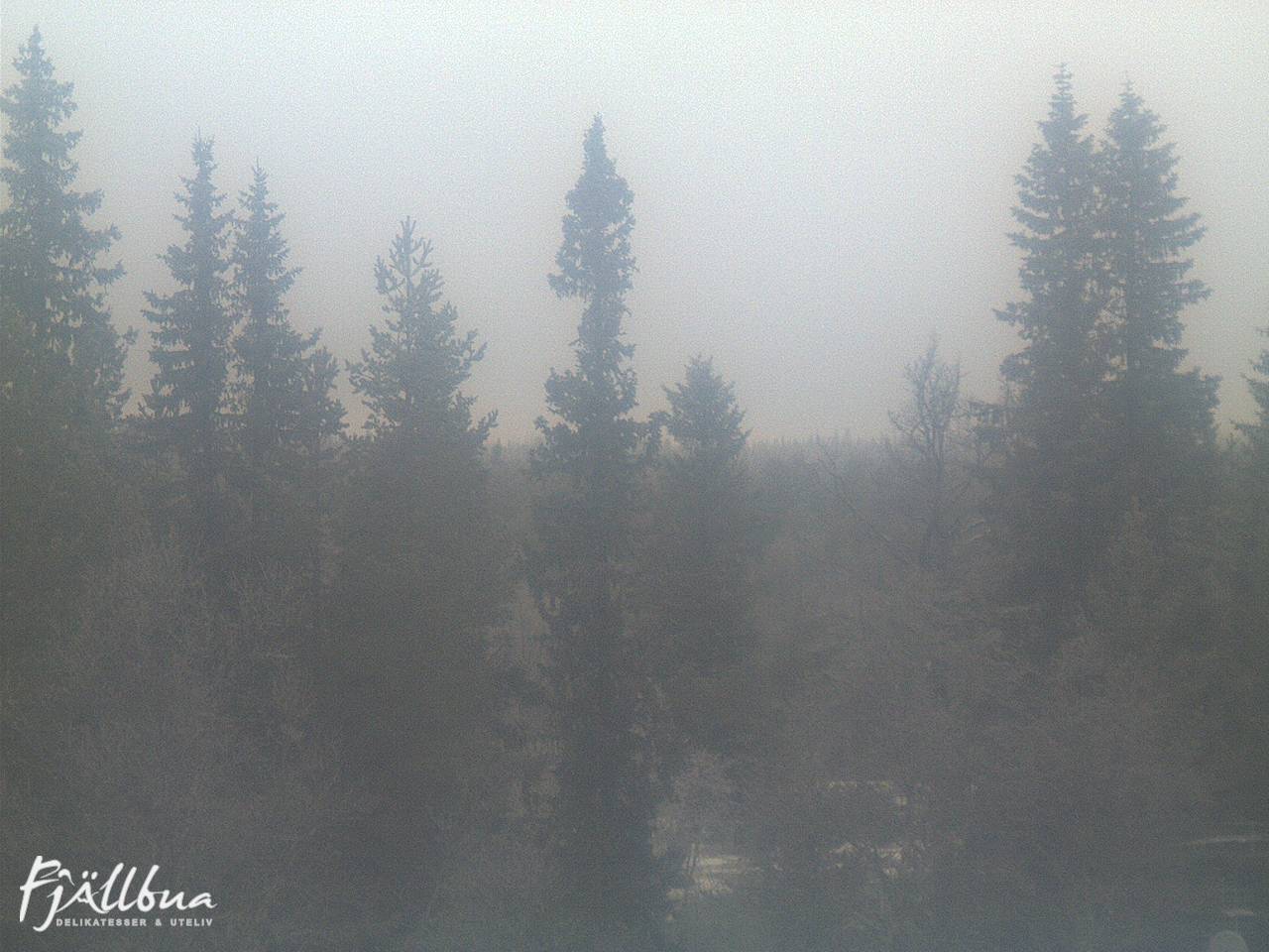 Fjällbua webcam 2024-12-06 14:00