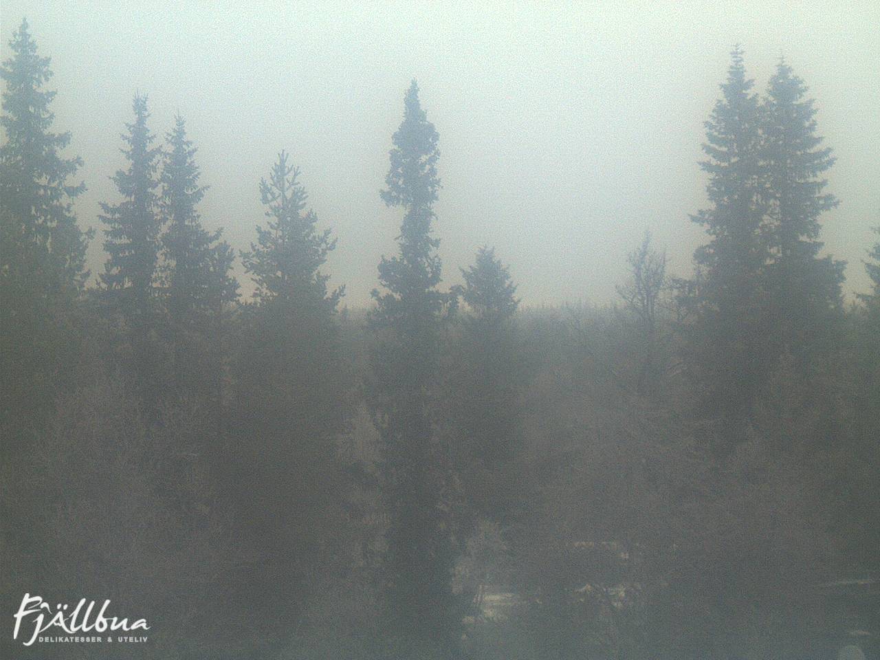Fjällbua webcam 2024-12-06 14:30