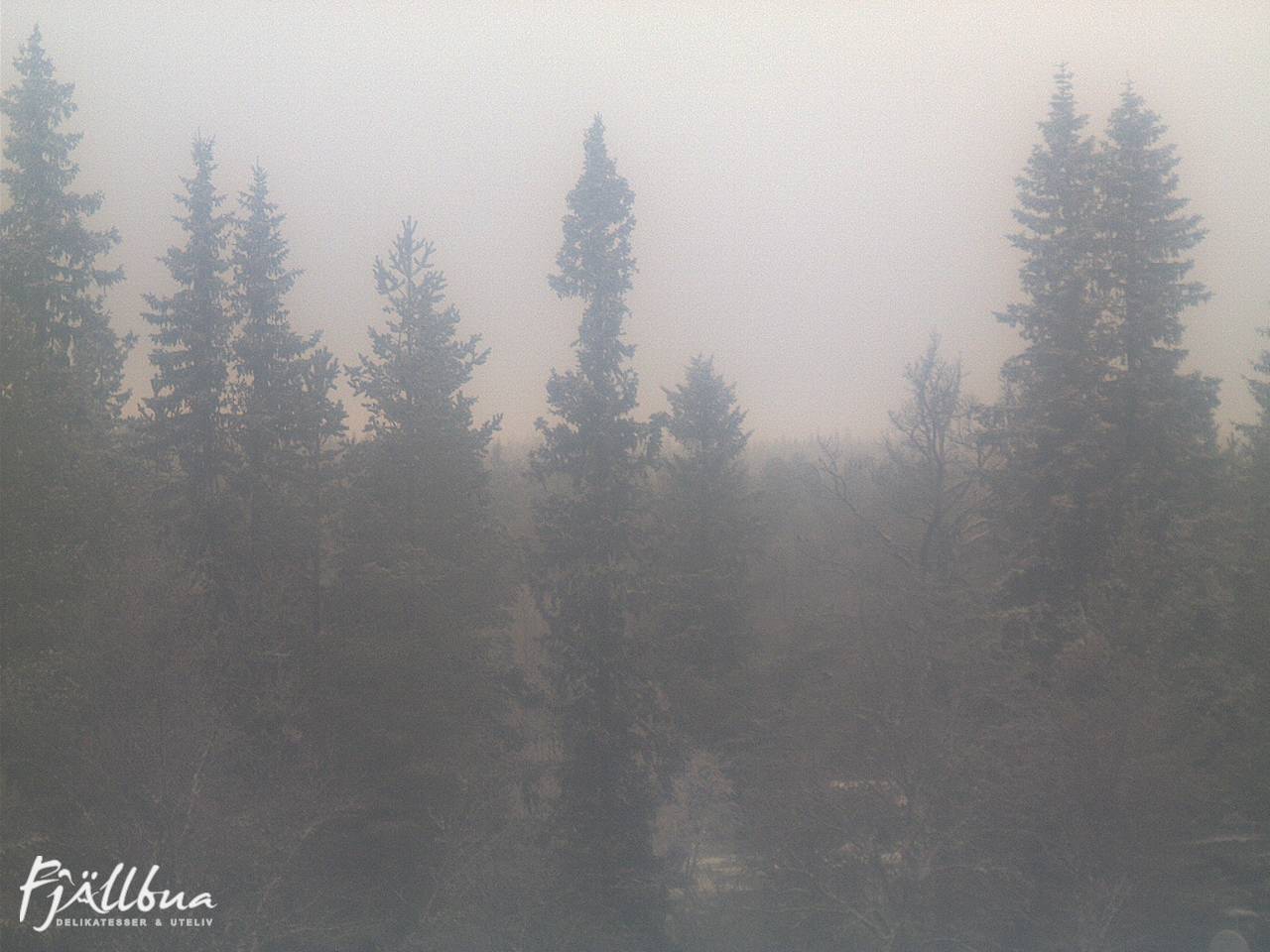Fjällbua webcam 2024-12-07 10:30