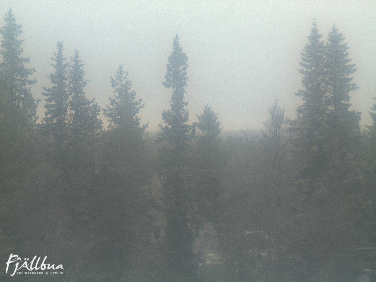 Fjällbua webcam 2024-12-07 11:00
