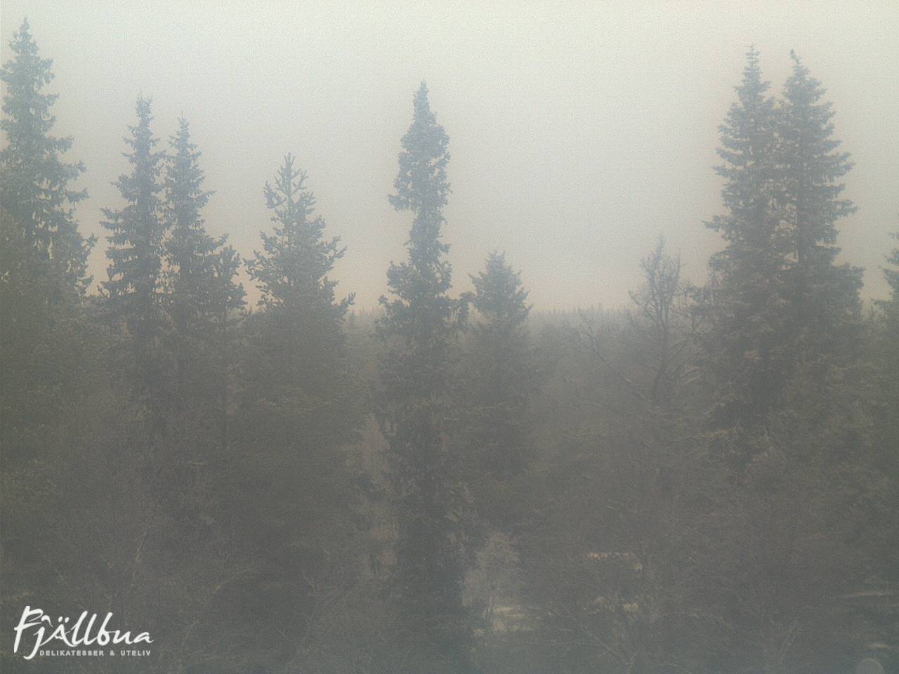Fjällbua webcam 2024-12-07 11:30