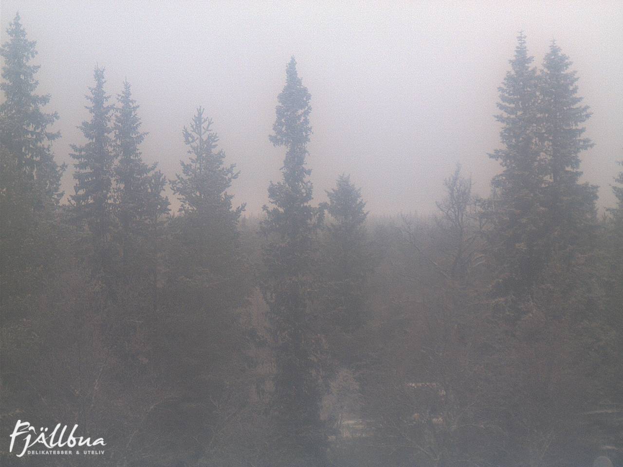 Fjällbua webcam 2024-12-07 12:00