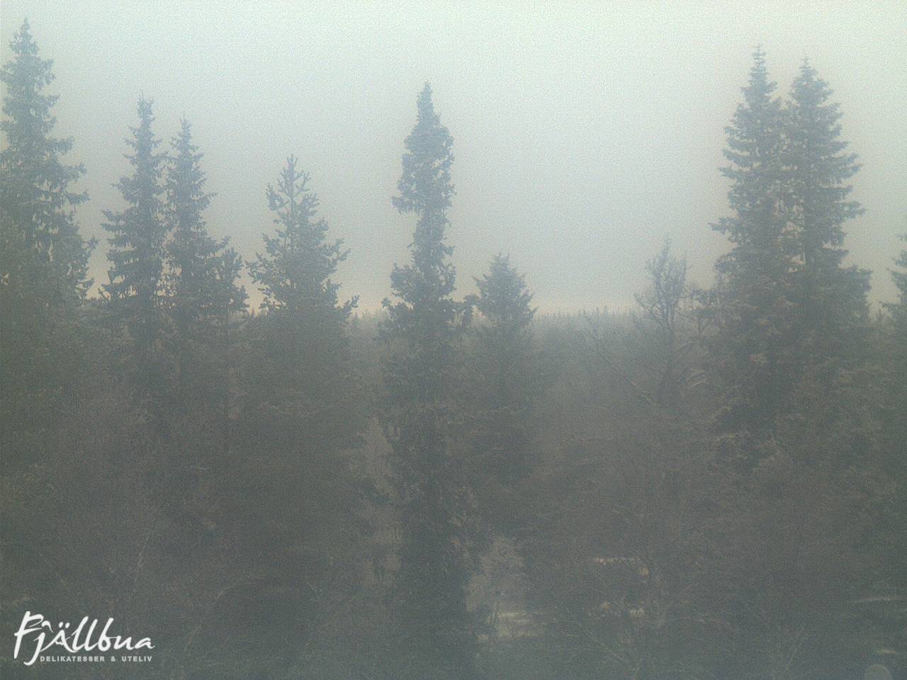 Fjällbua webcam 2024-12-07 12:30