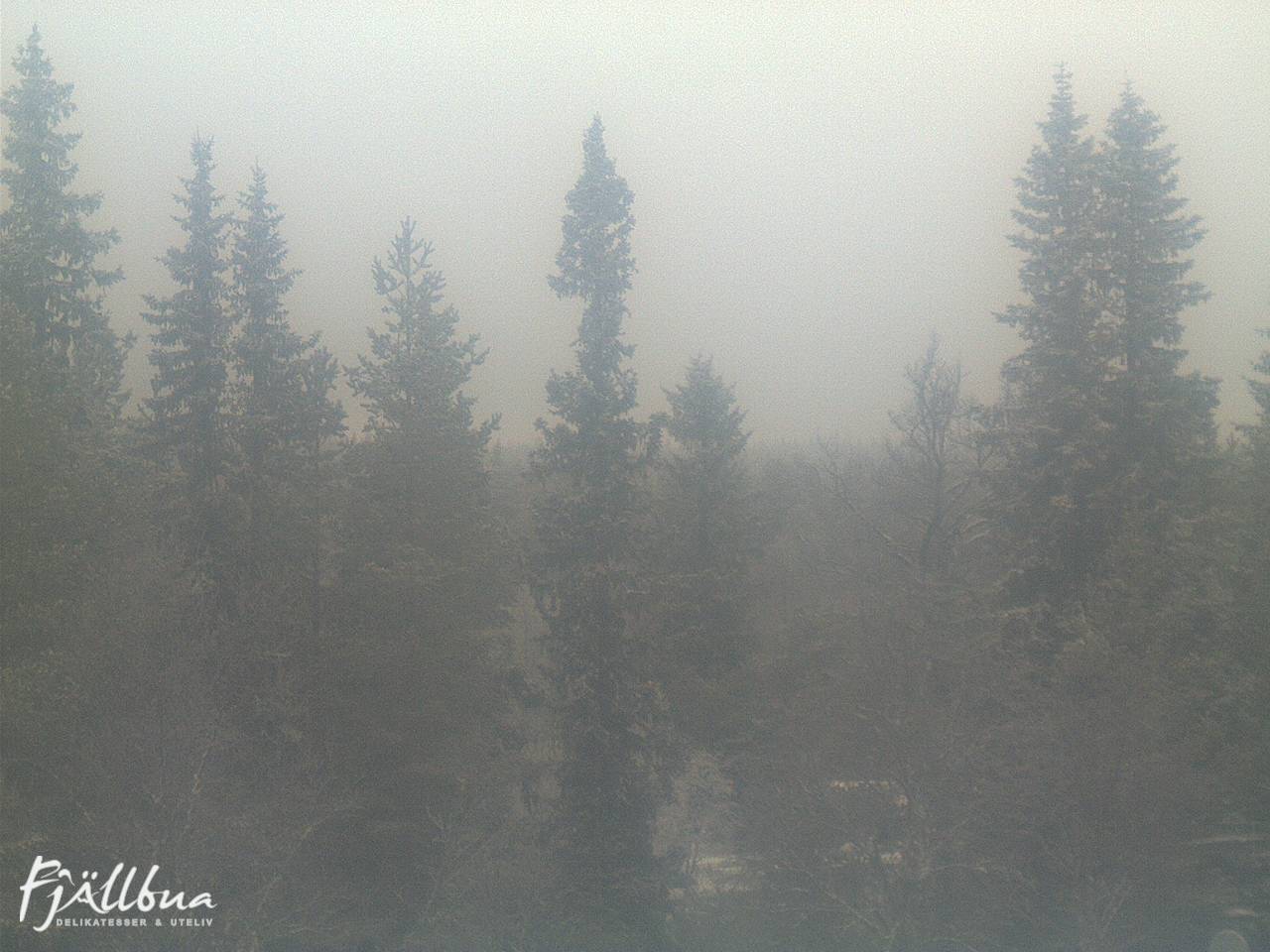 Fjällbua webcam 2024-12-07 13:00