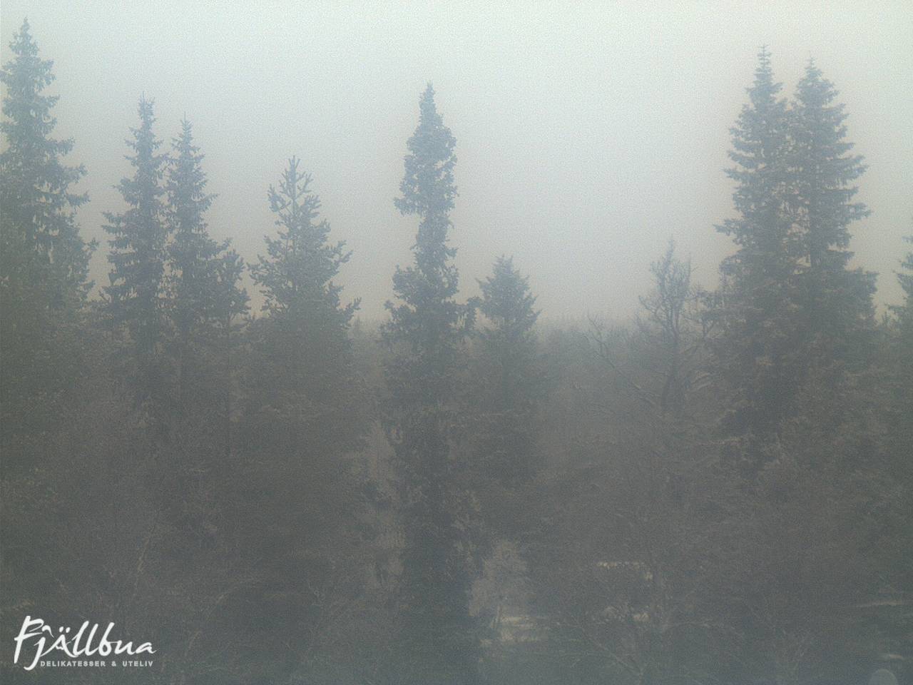 Fjällbua webcam 2024-12-07 14:00