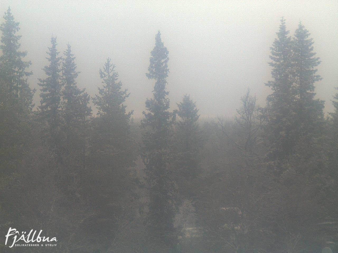 Fjällbua webcam 2024-12-07 14:30