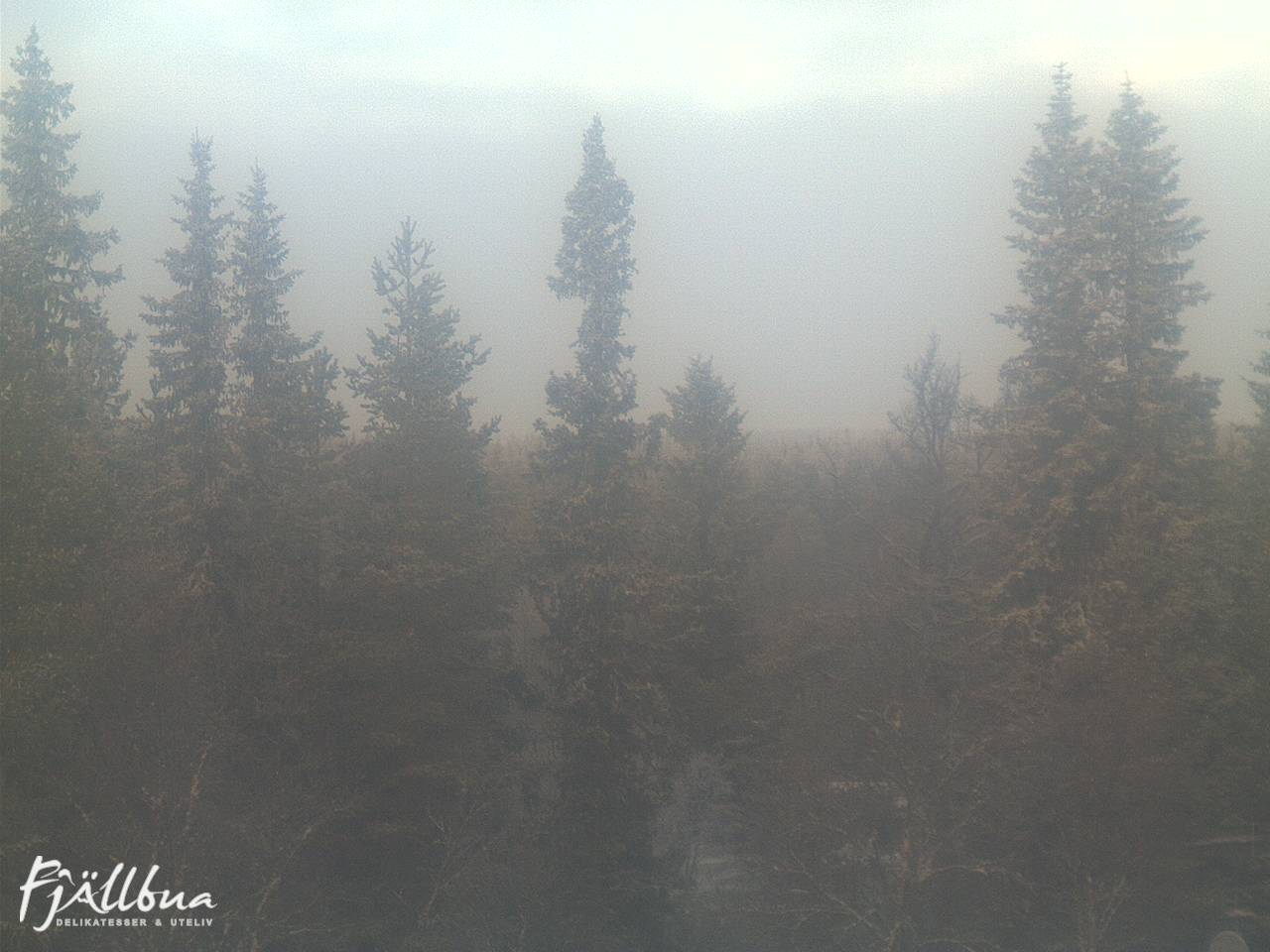 Fjällbua webcam 2024-12-08 10:00