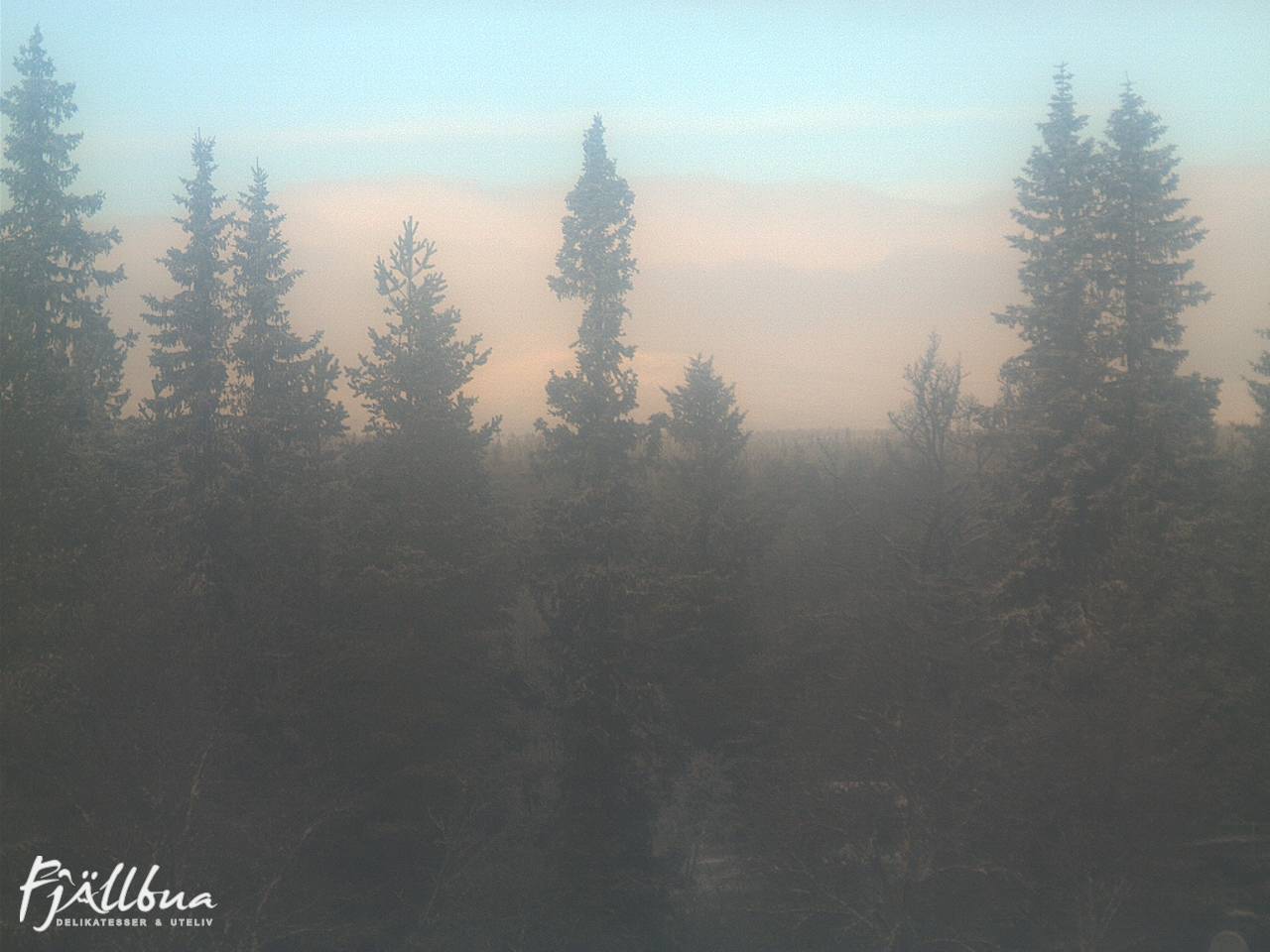 Fjällbua webcam 2024-12-08 10:30