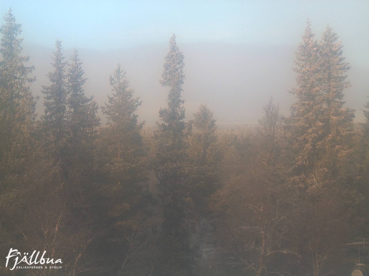 Fjällbua webcam 2024-12-08 11:00