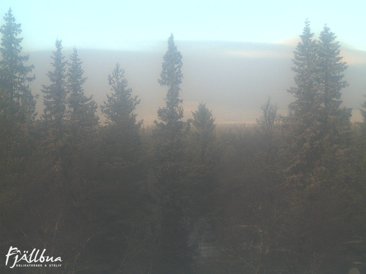 Fjällbua webcam 2024-12-08 12:00