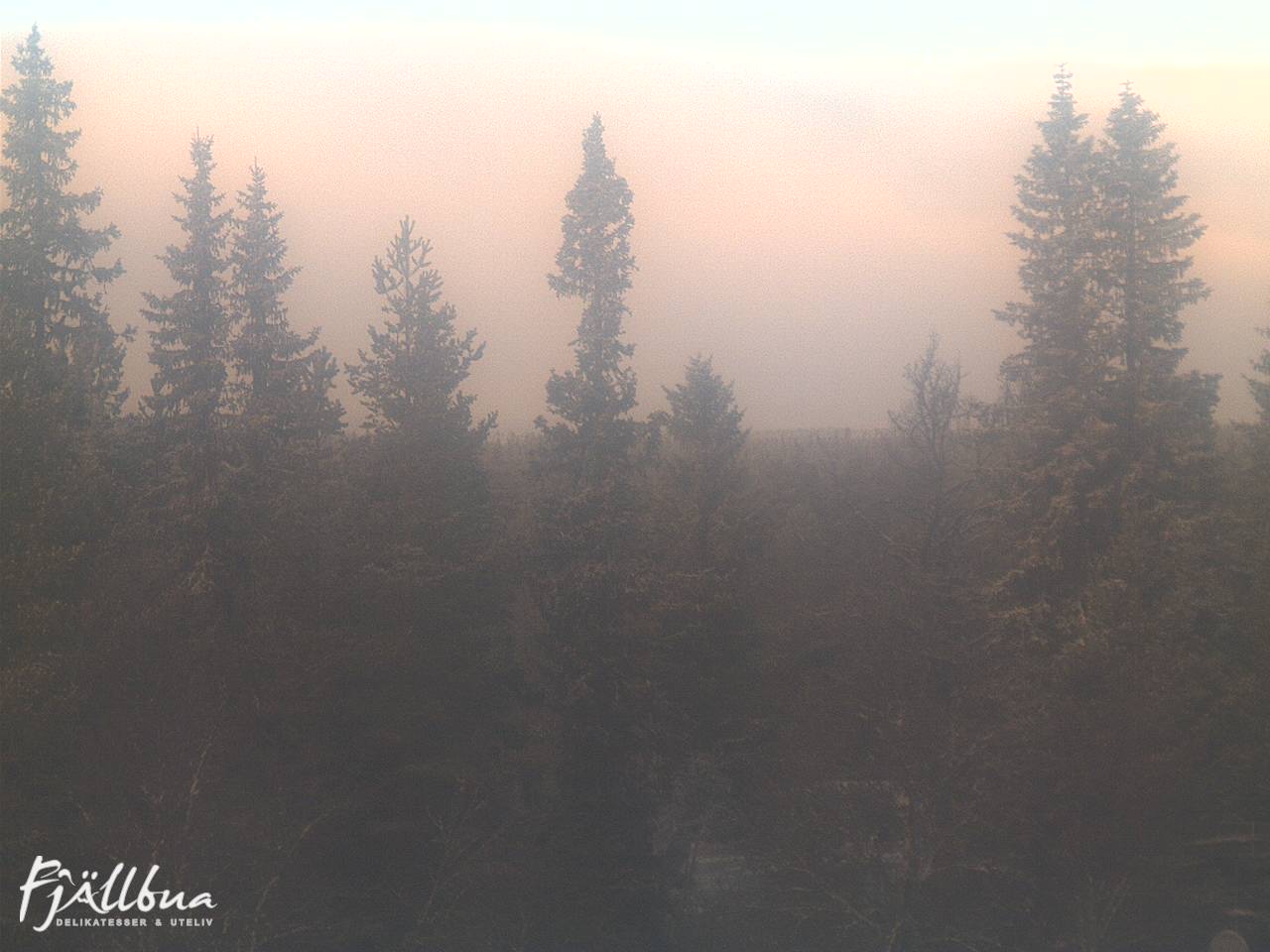 Fjällbua webcam 2024-12-08 12:30