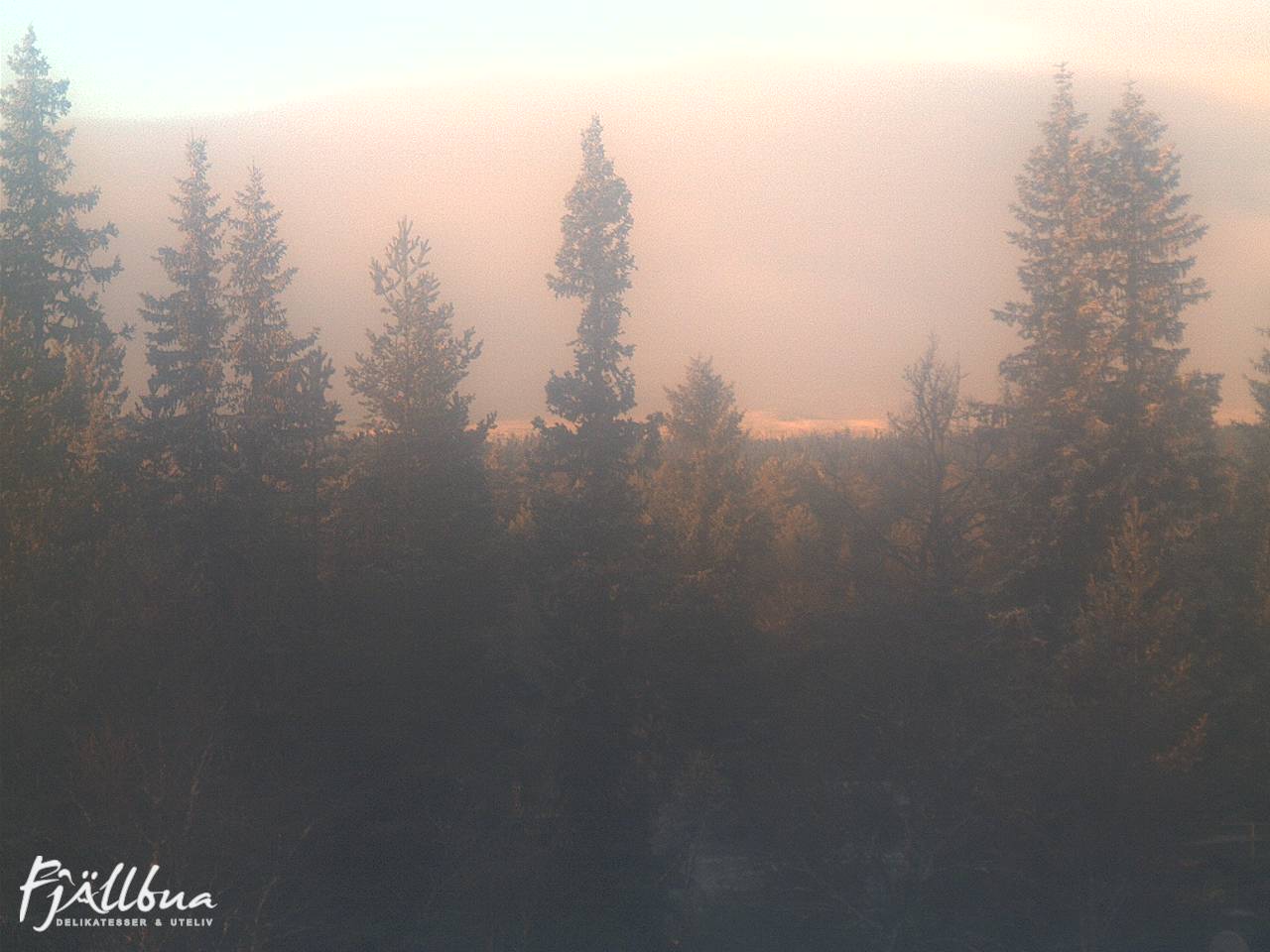Fjällbua webcam 2024-12-08 13:30