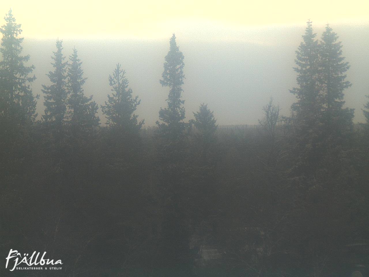 Fjällbua webcam 2024-12-08 14:30