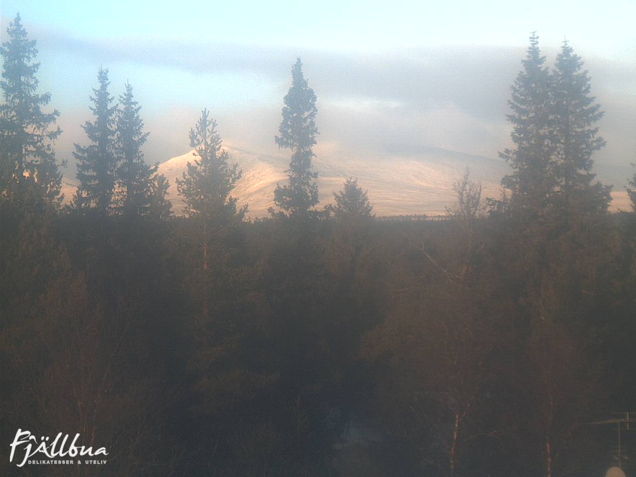 Fjällbua webcam 2024-12-11 11:00